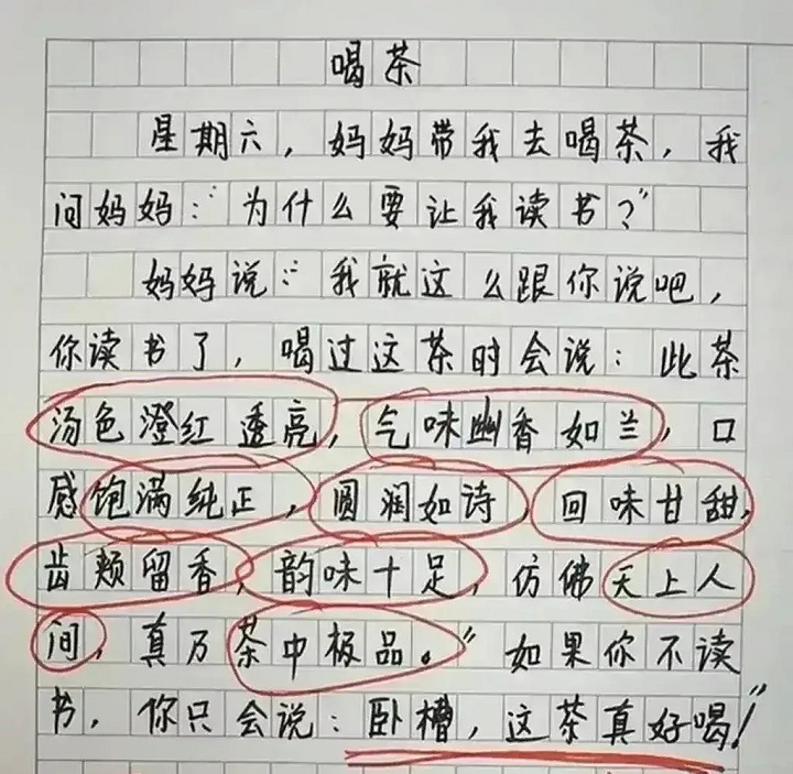 小学生作文《喝茶》火了，用词优美语言生动，网友：品茶高手