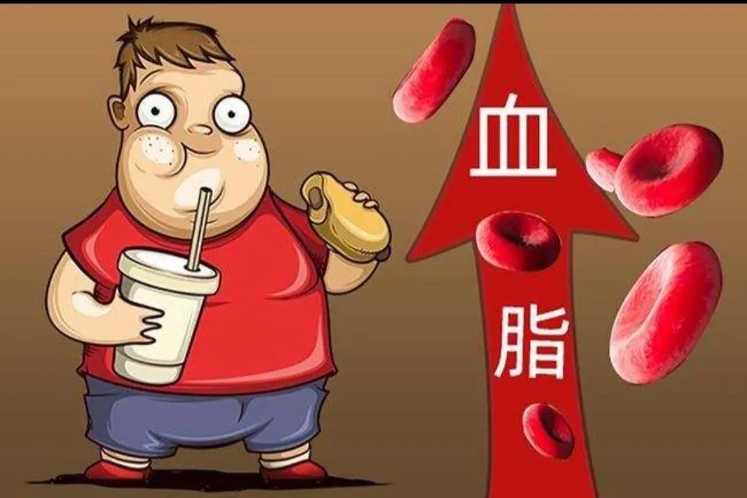 不吃肉，饮食清淡，为什么体检血脂高？这6种情况可引起高血脂