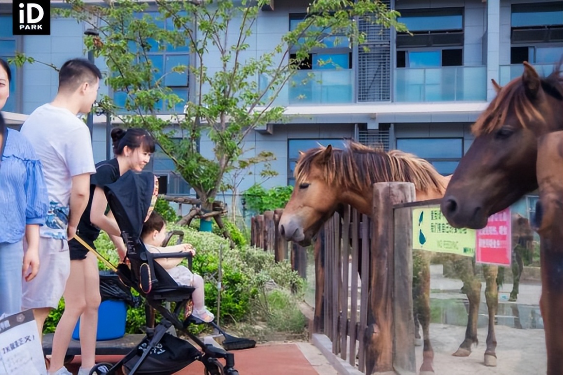 cba球队苏州旅游住哪里(苏州新晋溜娃圣地，全家人的后花园！iD PARK歌林公园等你来刷)