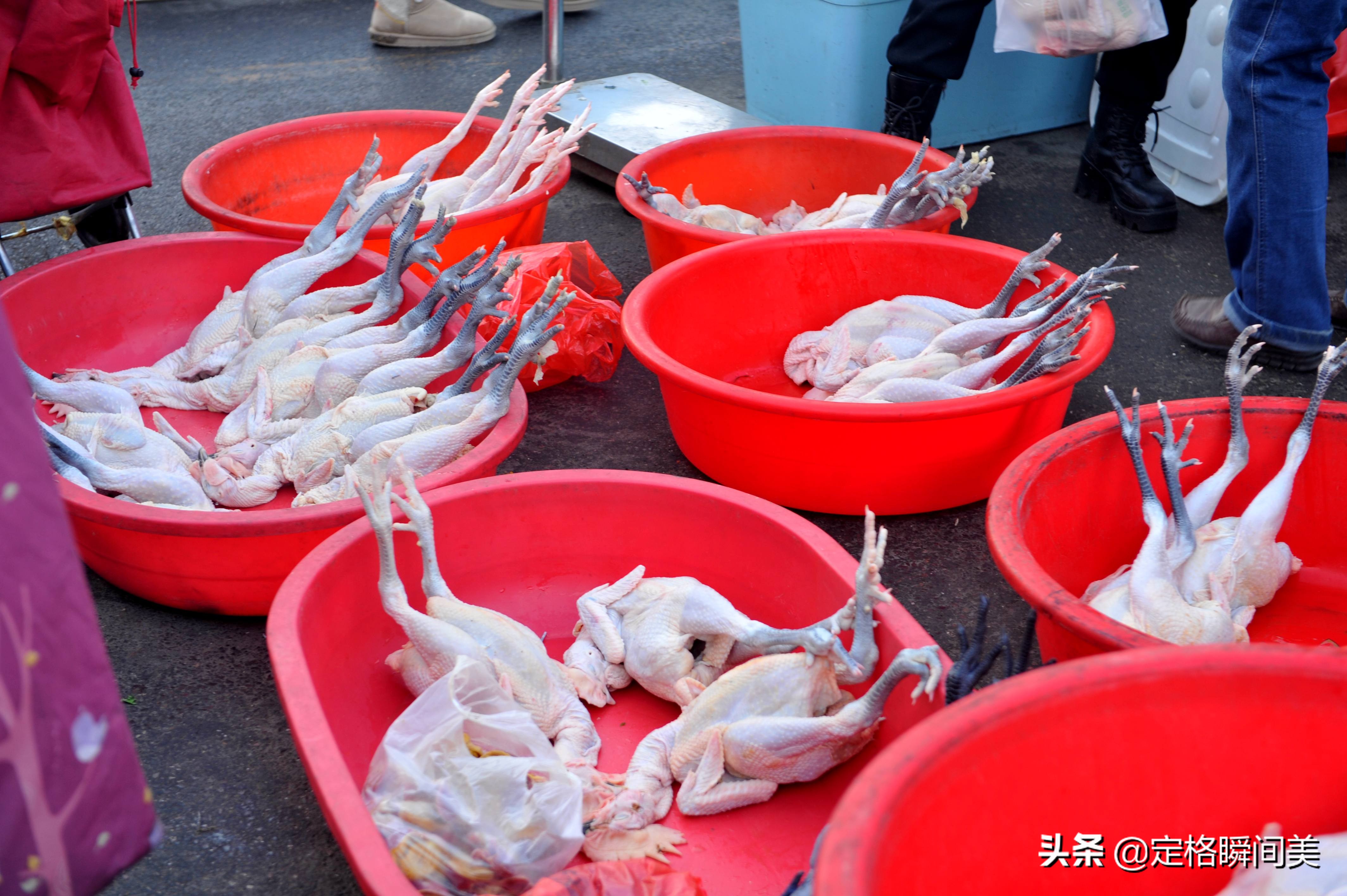 鯧魚多少錢一斤,鯧魚多少錢一斤市場價2022