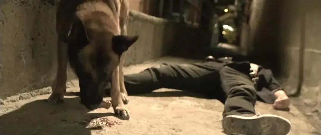 不看到结尾你根本不知道发生了什么的恐怖片