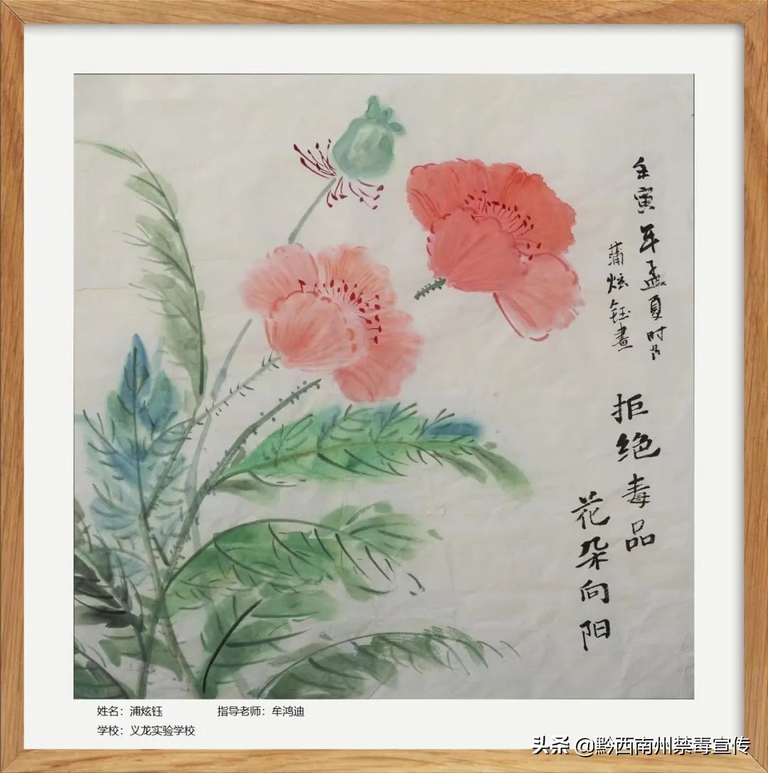 向阳"黔西南州中小学生书画大赛绘画类获奖作品网上巡展 - 金州禁毒云