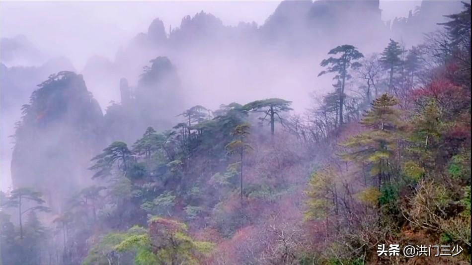 “庐山烟雨浙江潮”，苏轼的最后一首诗，你得往细了品才有味儿