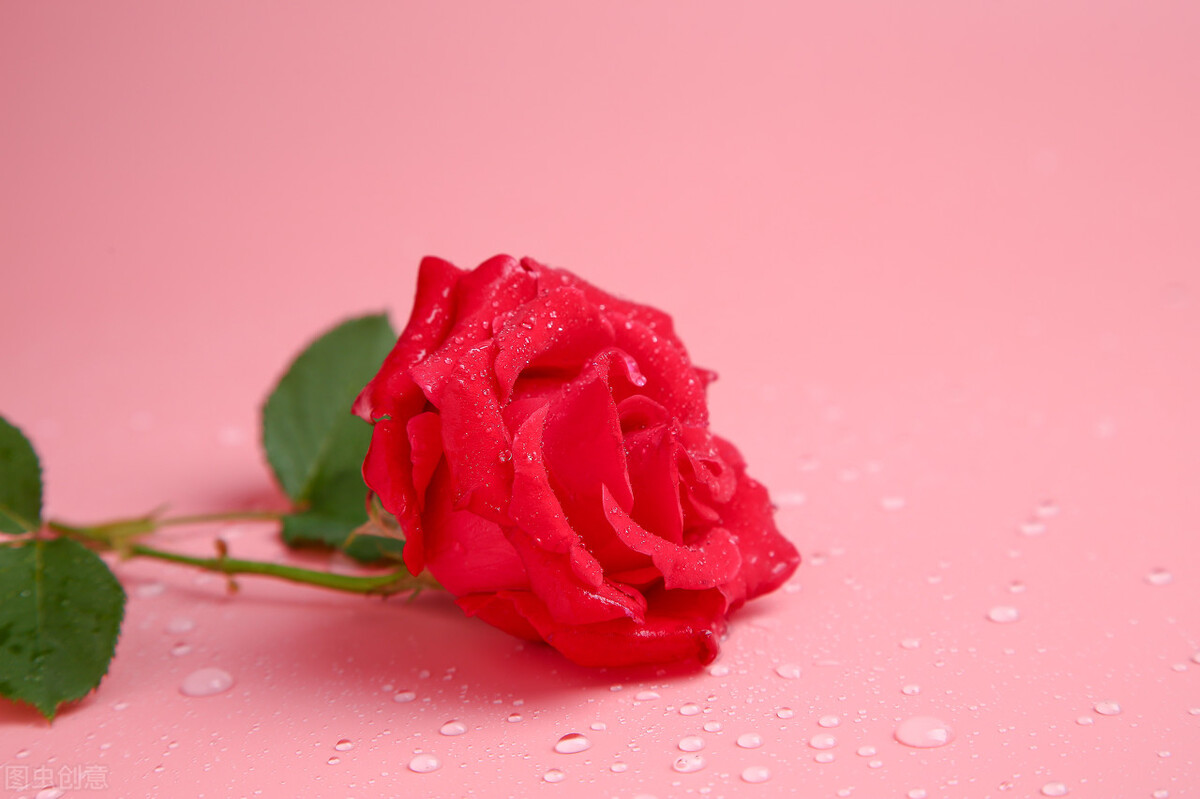 惜你如命，疼你入骨，无缘夫妻，你也是我的一生一世，好想你