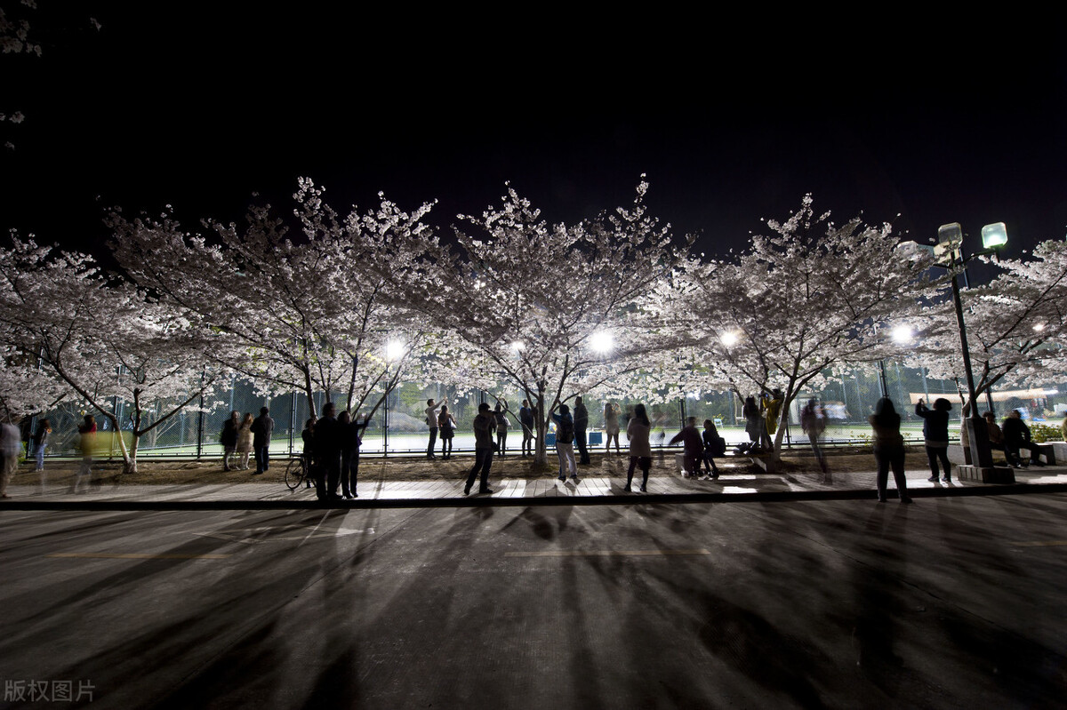 软件工程专业，这份名单告诉你该怎么选