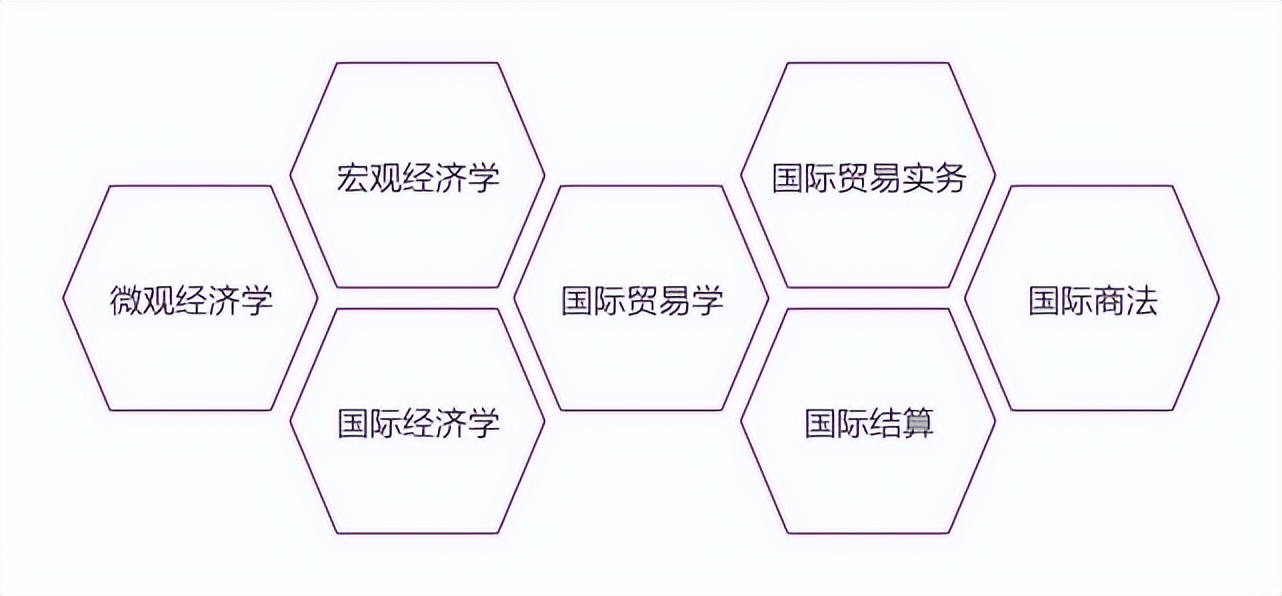 ѧϵ | ѧԺƾϵ