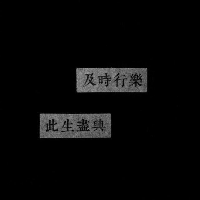 句子｜白鹭成双《美景未迟》句子摘抄