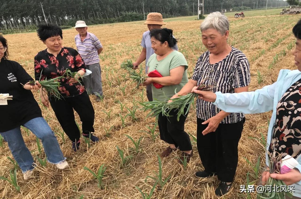 二点委夜蛾研究再创新 生态调控措施普及推广