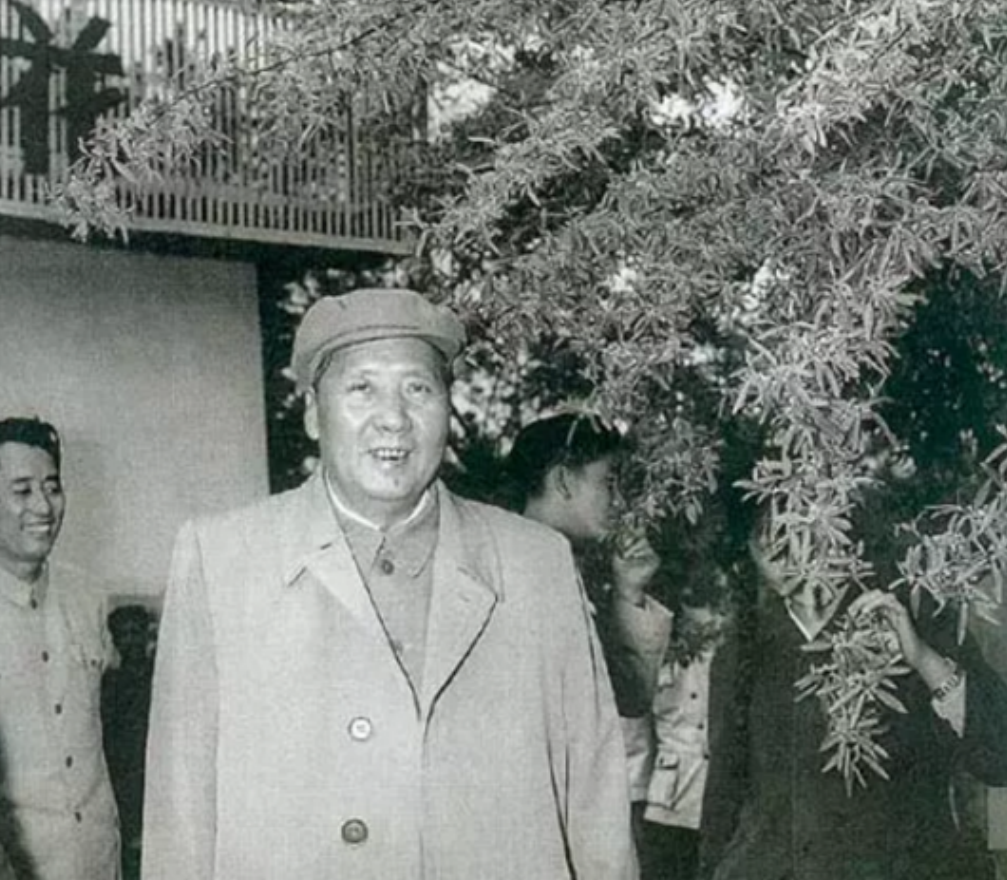 1986�꣬���ȳ�����������ǰ�����������ԣ����������޲���Ȼ����