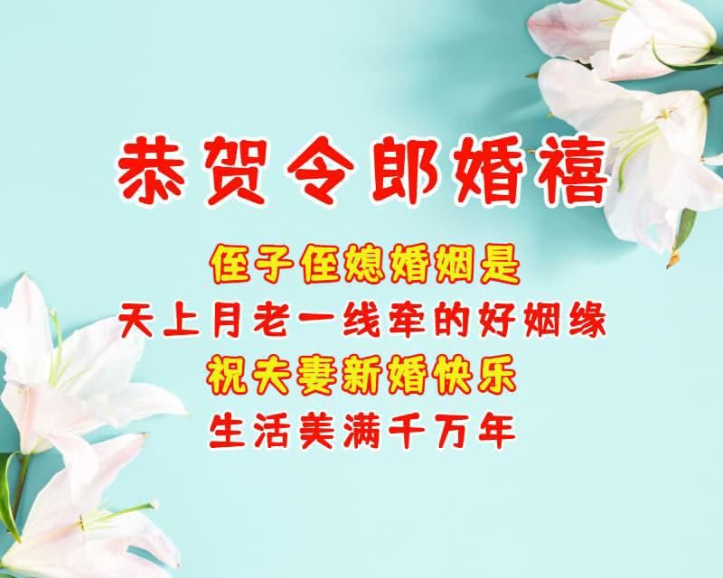 祝夫妻新婚快乐,生活美满千万年.