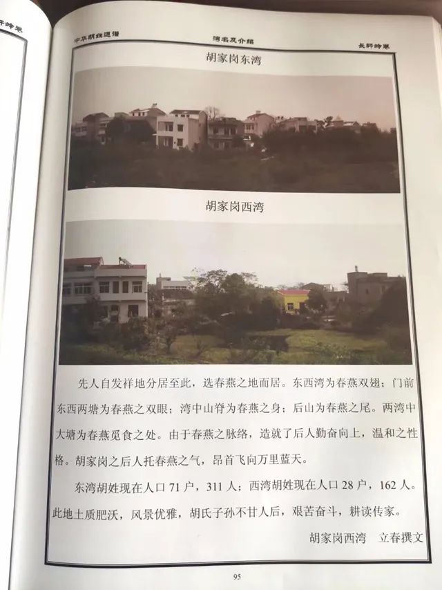 “光棍”爹爹（下）