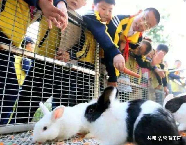 过年想好去哪玩了没，湖北周边春节必去景点