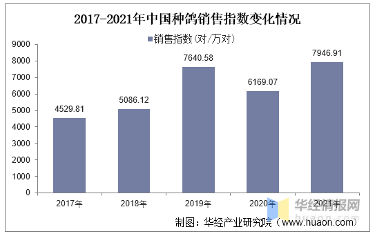 2021年中国鸽业生产形势分析，养殖自动化程度逐渐提高「图」