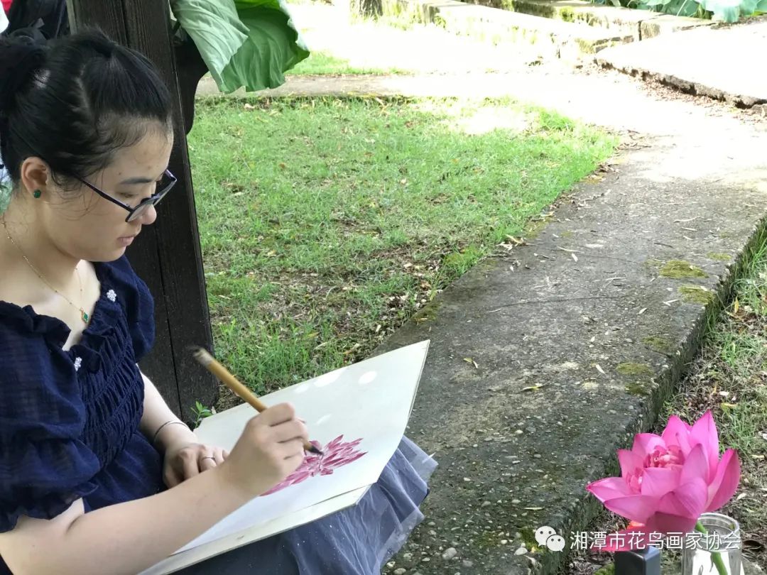 湘潭市花鸟画家协会盘龙大观园荷花写生活动圆满成功