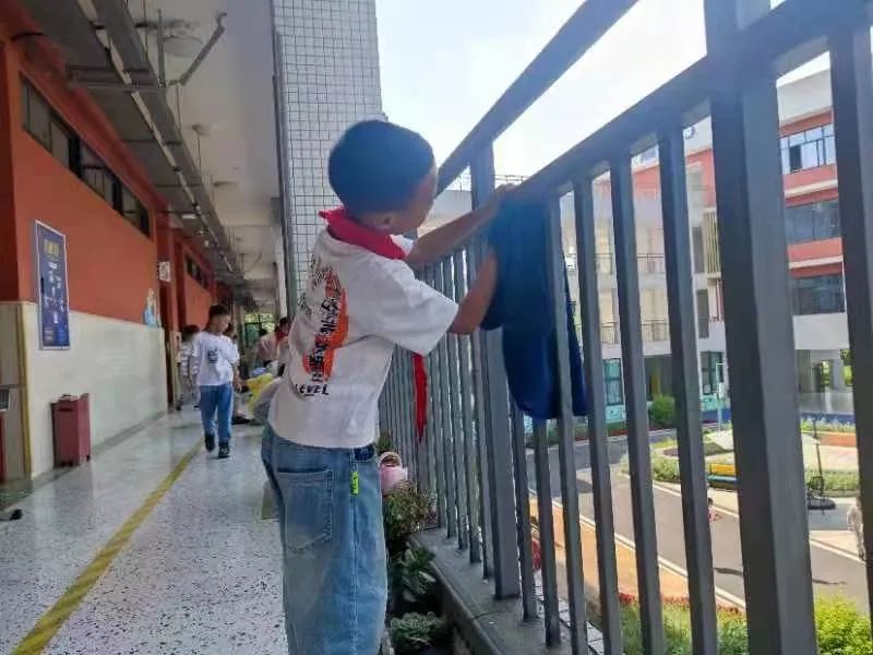 争做小小劳动者｜实验小学外国语学校坚持开展丰富的劳动教育课程