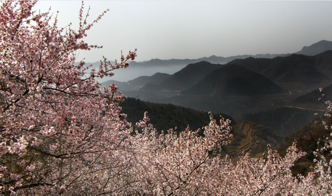 阳春三月春风暖，踏春太行大峡谷游玩正当时