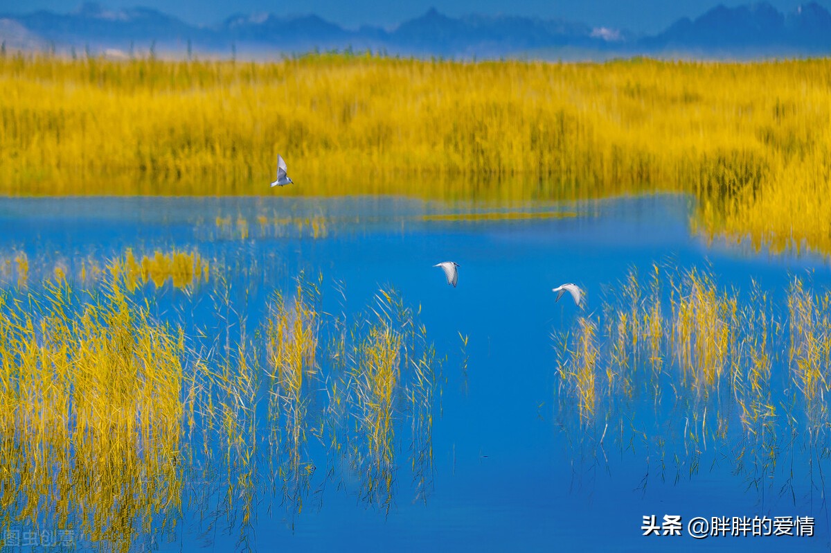 时光悄悄地流，岁月静静地走；给自己一抹微笑，从容自信洒脱坚定