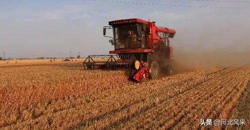 二点委夜蛾研究再创新 生态调控措施普及推广