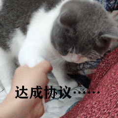 试用期最后一天被辞退？被裁我们可以这样做，拒绝稀里糊涂被拿捏