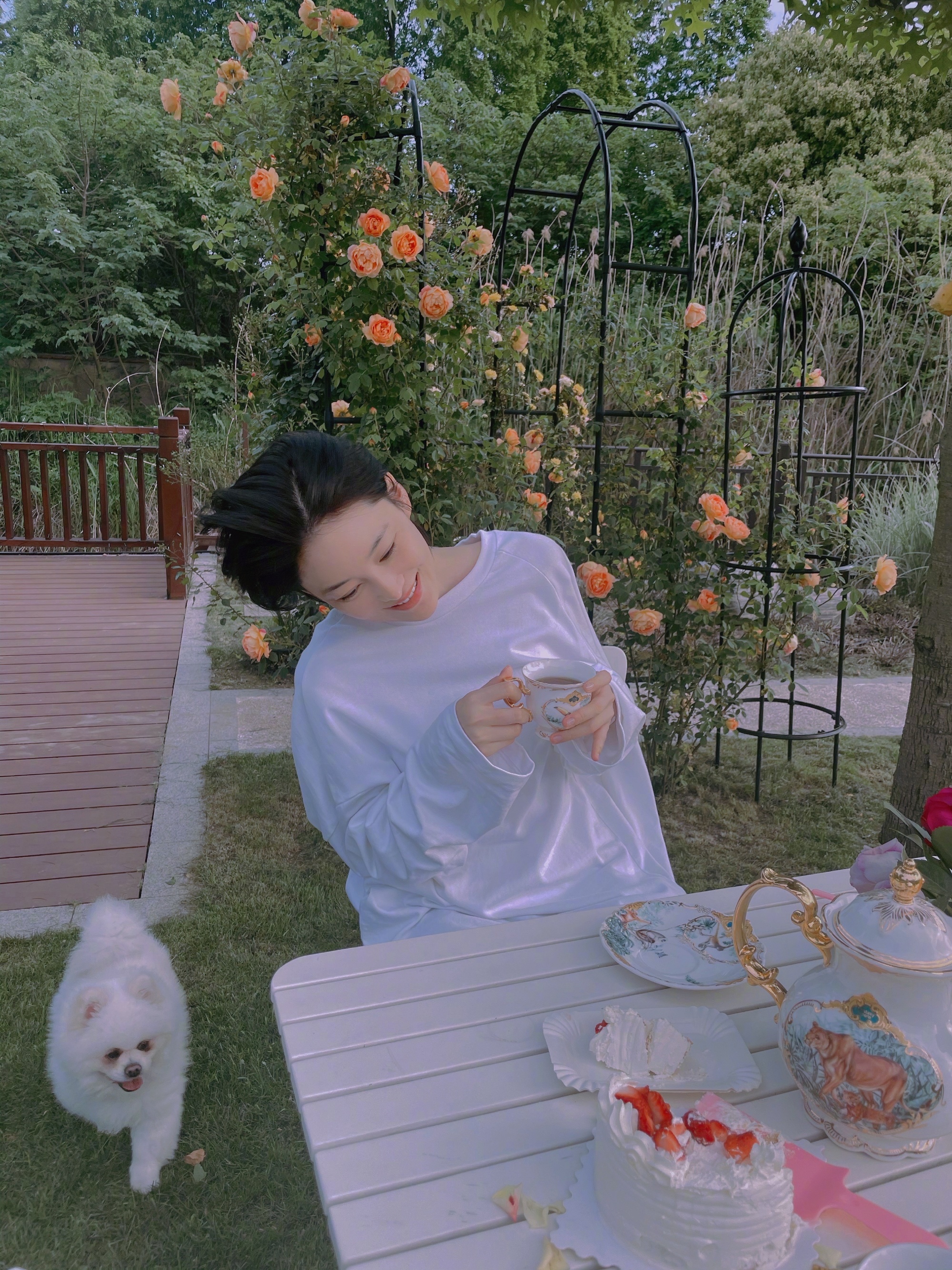 是女明星也是“菜农”！柳岩吃过刘亦菲种的茄子，张馨予家有农场