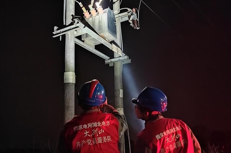 国网浠水县供电公司寒夜为鸡苗孵化厂送发电机