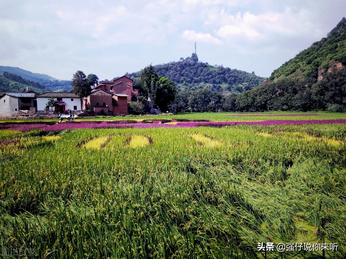 恭喜安徽考生！新添4所“一本”招生大学