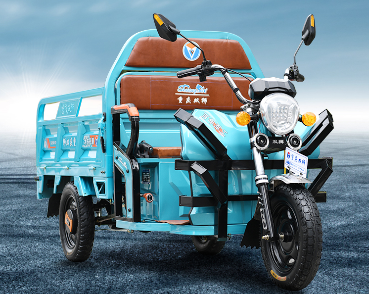 第3款车型:双狮新款大力