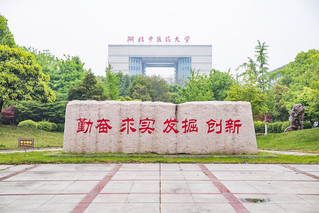 武汉地铁5号线，将延伸2.61公里，新增2个车站，覆盖黄家湖大学城