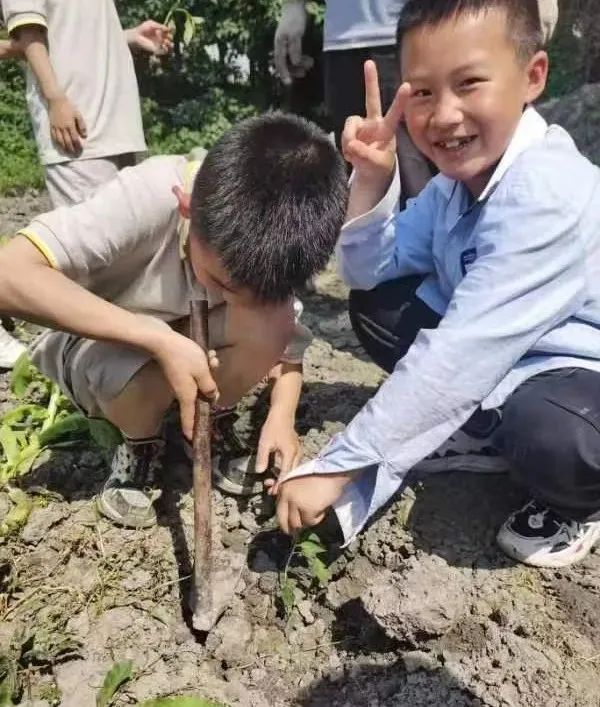 争做小小劳动者｜实验小学外国语学校坚持开展丰富的劳动教育课程