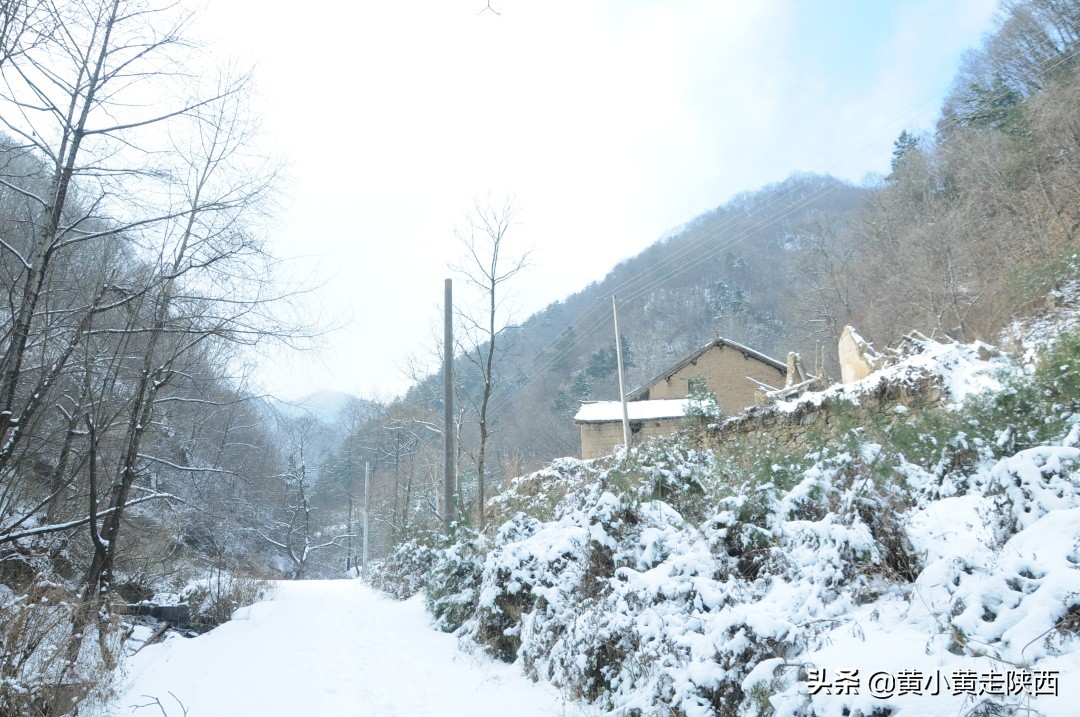 每小时都有班车经过的山谷，风景幽静迷人，探秘秦岭其实很简单