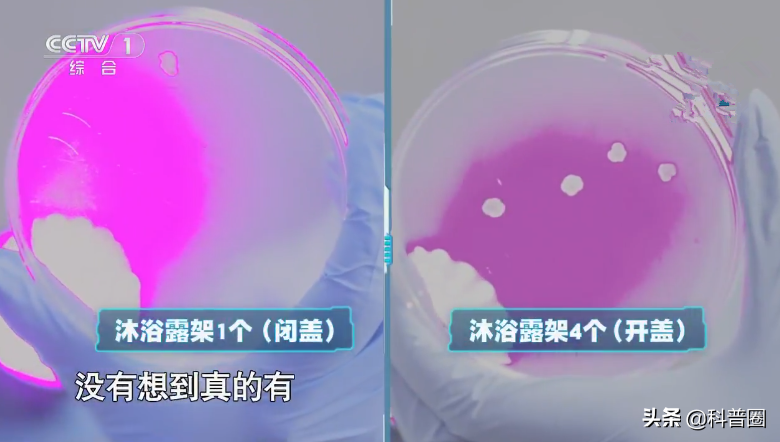 沖馬桶，蓋？還是不蓋？別糾結了，央視的一個實驗告訴你真相