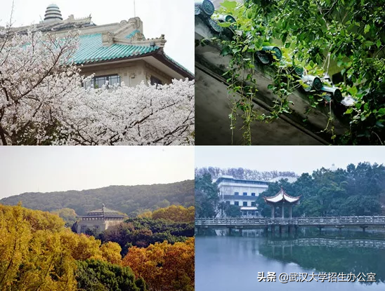 他是民国教育部长、武大首任校长，曾许下宏伟心愿！武汉大学：已经实现！