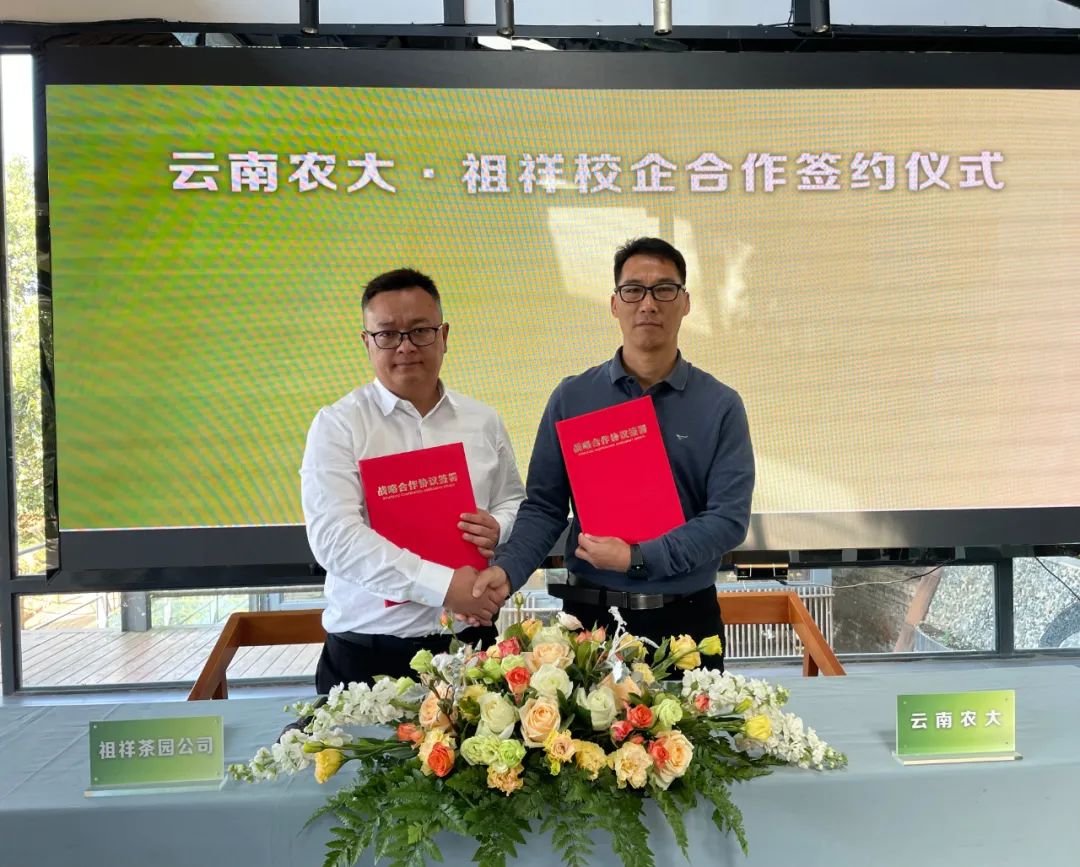 有机茶点亮乡村振兴路——南屏镇整碗村&祖祥茶业&云南农大携手乡村振兴项目签约