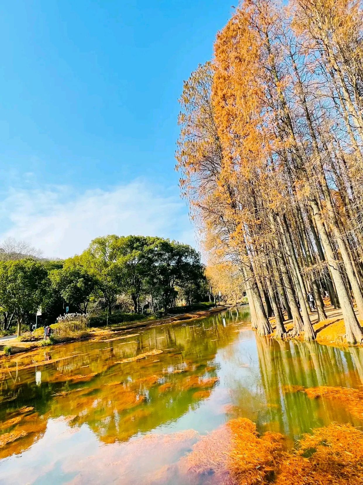 无锡太湖冬天的景色宛如一个沉淀着各色梦想的天堂