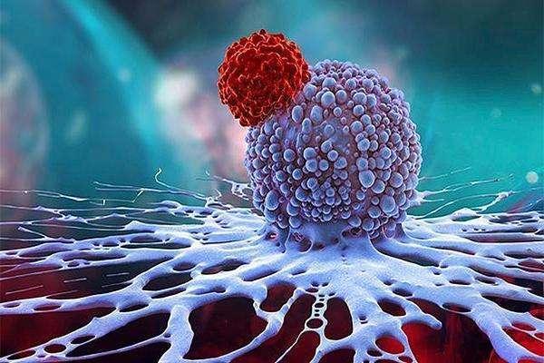 听说癌细胞能被“饿死”，不吃饭有用吗？提示：限制热量并非禁食
