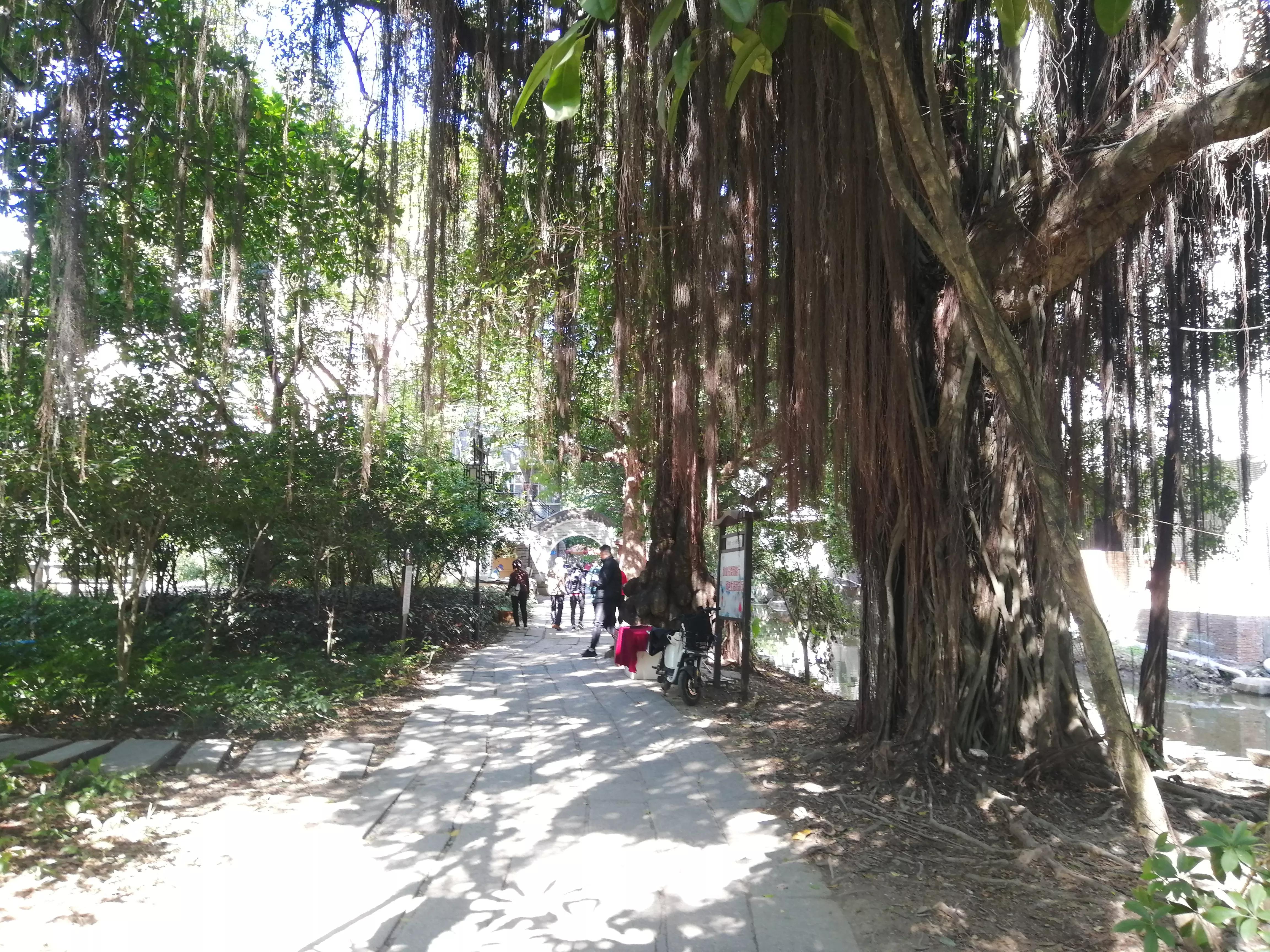 地铁4号线大学城游玩攻略，领略那不一样的广州大学城风光（C篇）