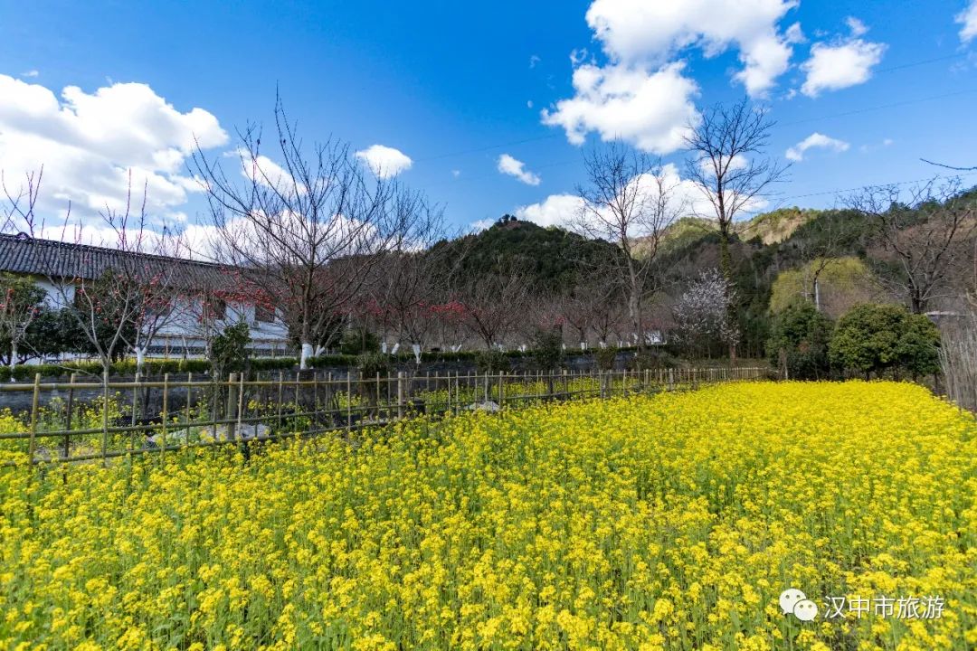 重磅！2022中國(guó)最美油菜花海漢中旅游文化節(jié)最全優(yōu)惠政策來啦！