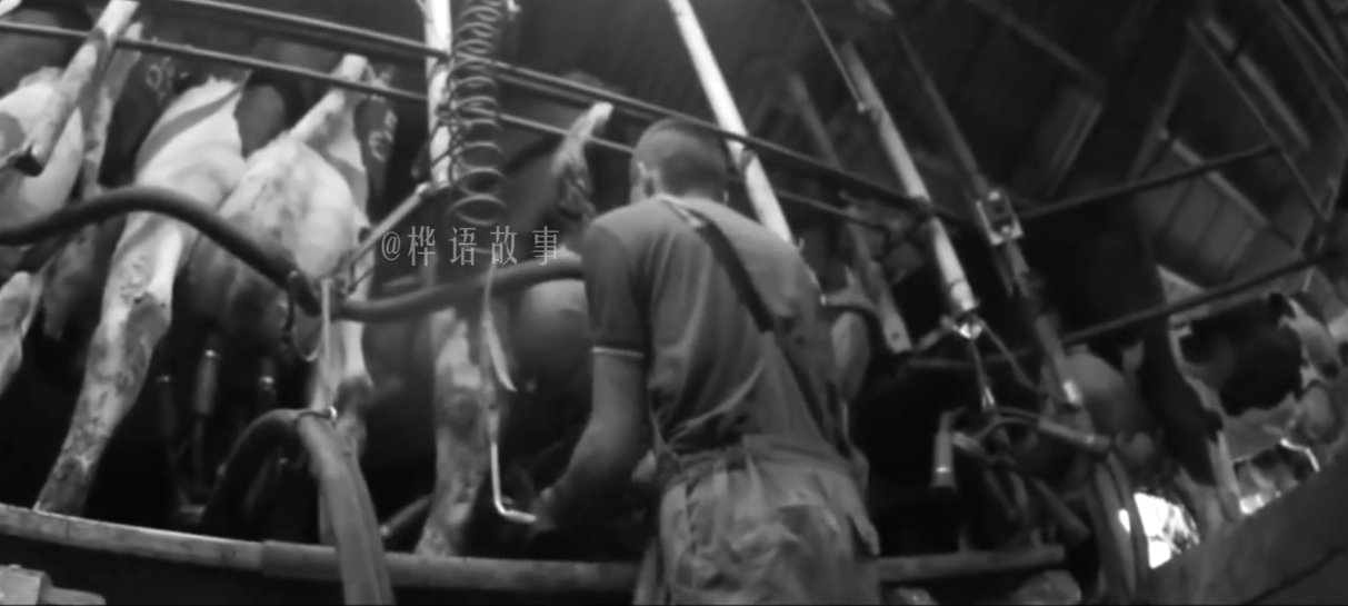 泔水兑牛奶，死老鼠做火腿，近万名儿童死亡，美国食品安全有多差