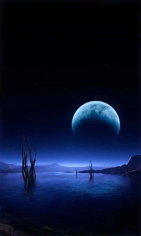 今夜，月色如纱，星河低语，朦胧中藏着一帘幽梦。