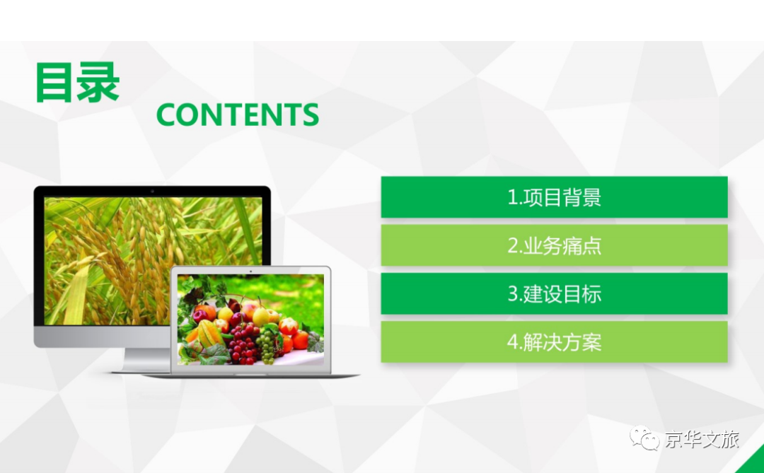 2020-2050年数字乡村发展战略重点内容