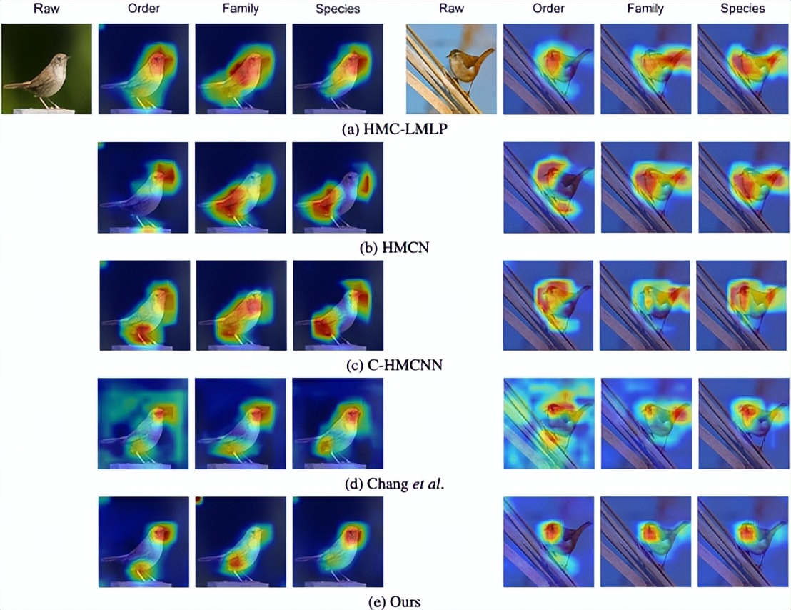 浙大、蚂蚁集团提出基于标签关系树的层级残差多粒度分类网络