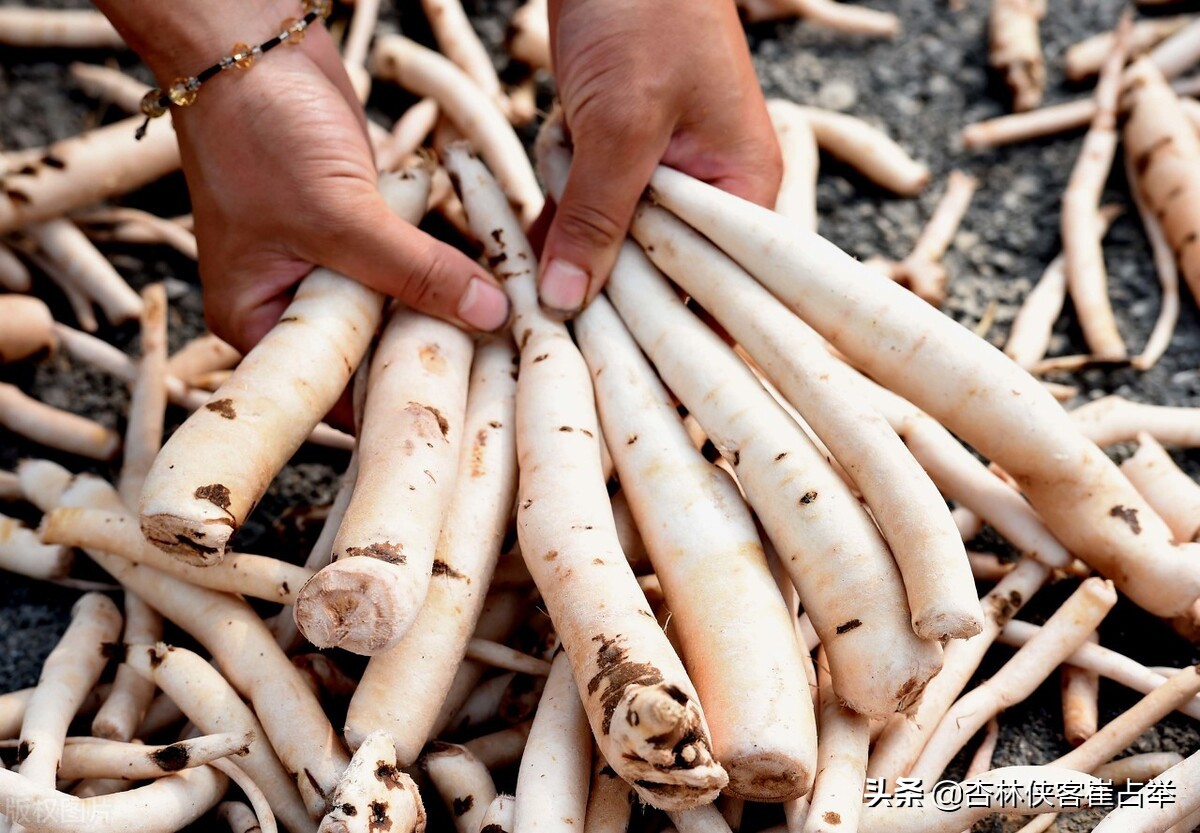 宣发是什么意思,宣发工作主要负责什么