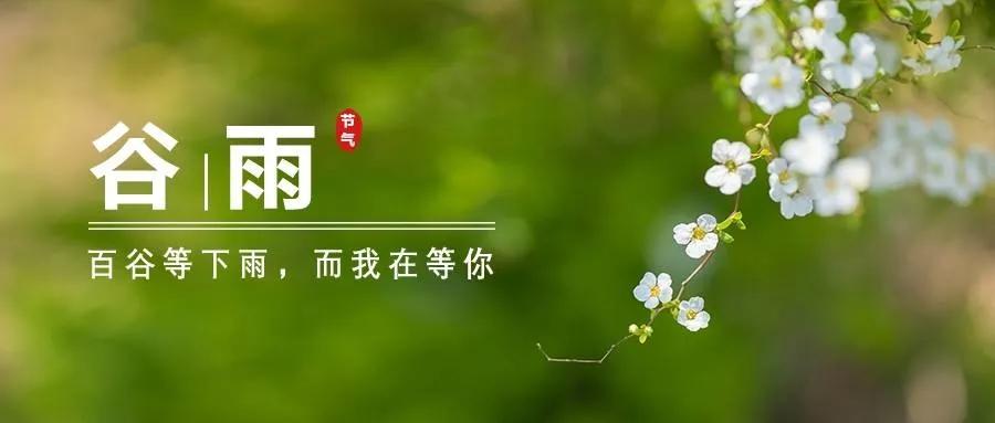 谷雨祝福语精选，唯美问候简短句子文案配图