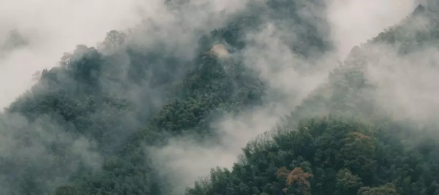 山居，生活本来的样子