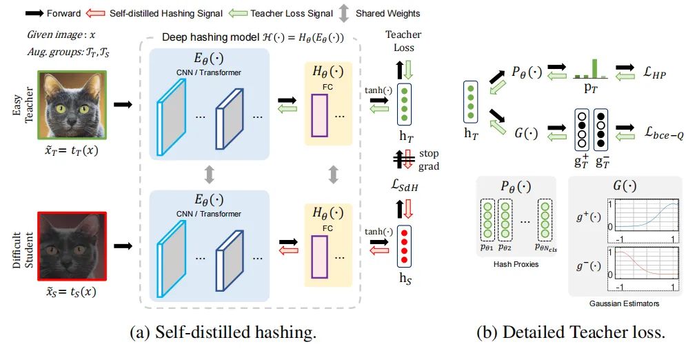 ECCV22 最新54篇论文分方向整理｜目标检测、图像分割等（附下载）