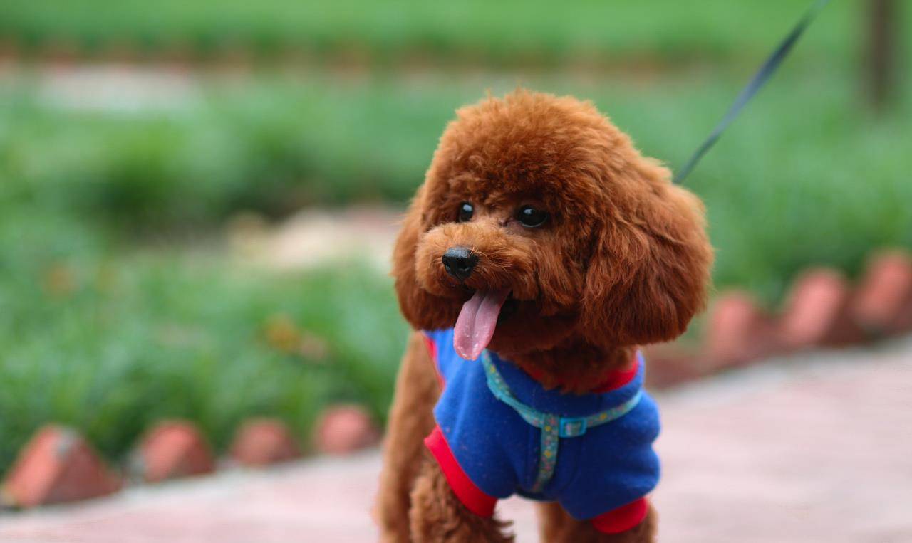 ɿʺϼͥ_ɿûǽë_ɿ