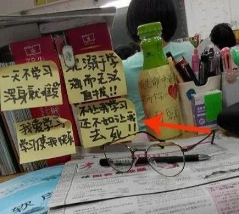 美人鱼上岸了图片