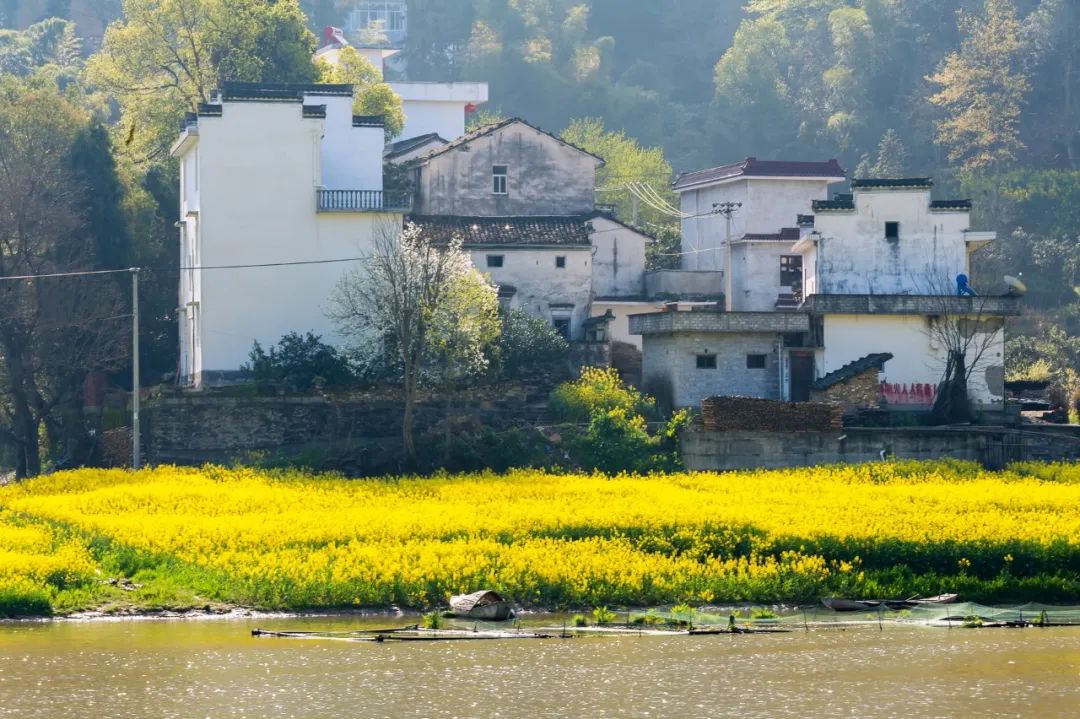 10首清明诗词，落花飞絮，春意阑珊，最美人间四月天