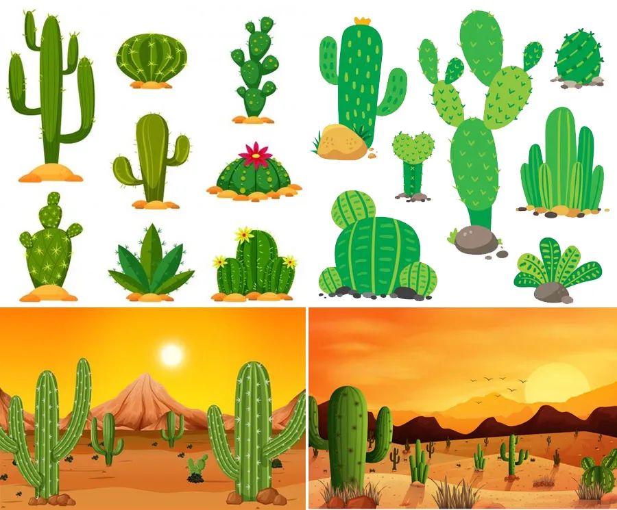 儿童画教程 - 综合创意画-沙漠中的仙人掌-亲亲宝贝网