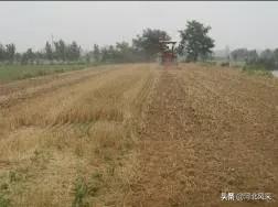 二点委夜蛾研究再创新 生态调控措施普及推广